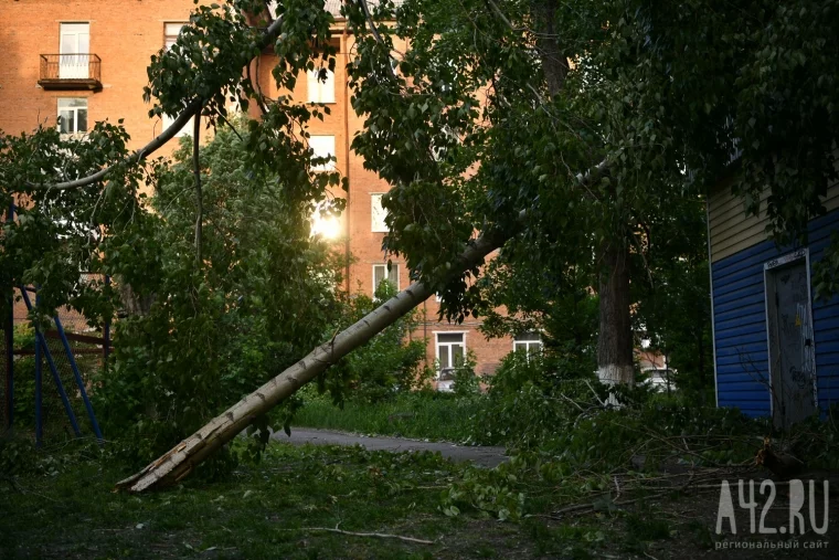 Фото: Последствия штормового ветра в Кемерове 23