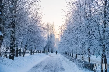 Фото: Россиянам пообещали тёплую зиму 1