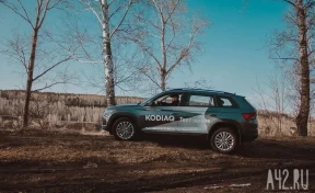 Skoda Kodiaq: тестируем «медведя» в Кемерове