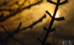 В Кузбасс идёт холод из Якутии: синоптики прокомментировали резкое изменение погоды