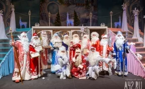 В Кемерове определят лучшего Деда Мороза Кузбасса
