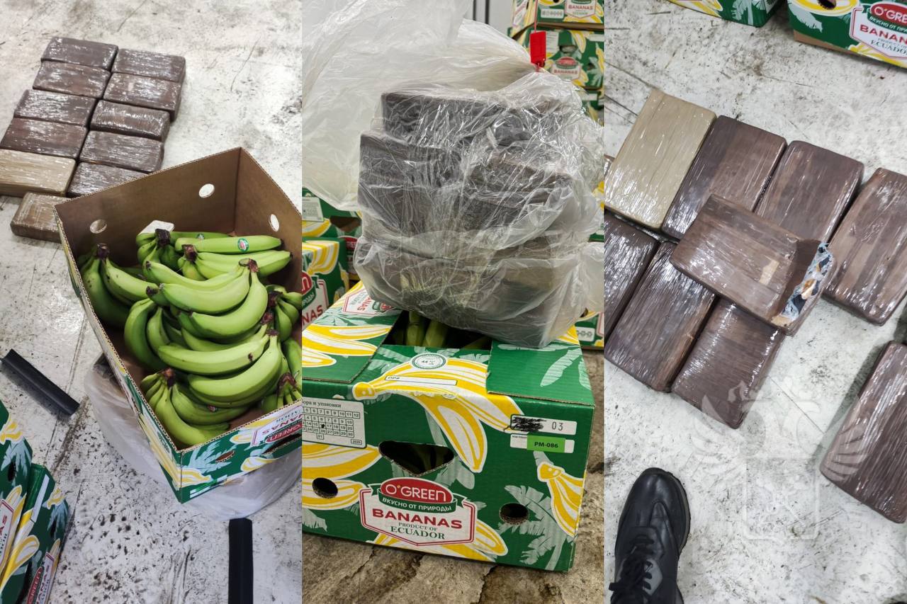 В Санкт-Петербурге таможенники обнаружили в коробках с бананами более 11 килограммов кокаина 