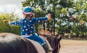 Как воспитать лошадь и всадника: разговор с тренером по конному спорту