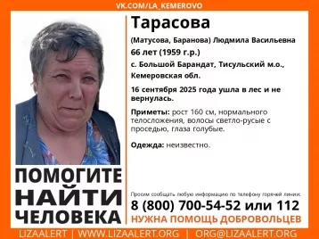 Фото: В Кузбассе 66-летняя женщина ушла в лес и пропала 1