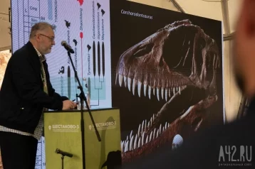 Фото: Ведущие учёные-палеонтологи будут исследовать обнаруженные в Кузбассе останки динозавра 1
