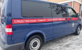 SHOT: задержан подросток, напавший с ножом на одноклассников в Нижнем Новгороде