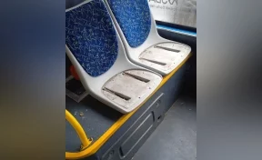 В Новокузнецке подростки-вандалы повредили автобус и попали на видео