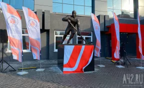 Житель Новокузнецка пожаловался губернатору на подорожавшие билеты на хоккей