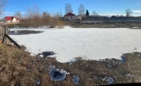 В Алтайском крае двухлетняя девочка утонула в луже