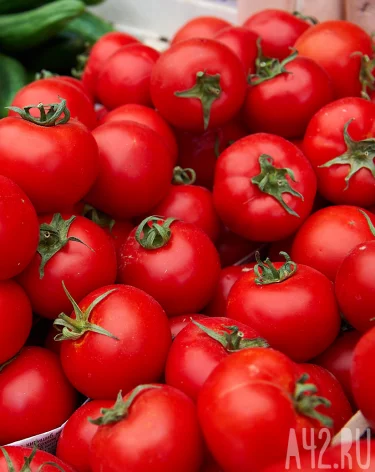 Свежие огурцы подорожали в Кузбассе на 30% за месяц