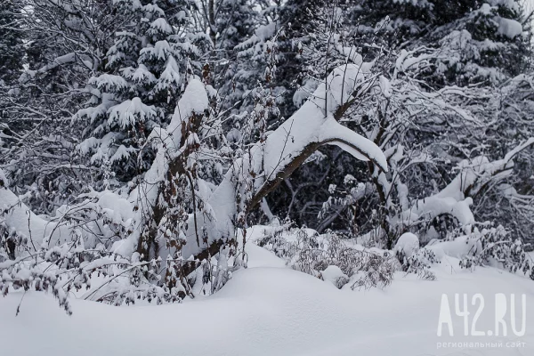 Аксиньин день или Ксения Полузимница: народные приметы на 6 февраля