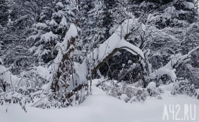Аксиньин день или Ксения Полузимница: народные приметы на 6 февраля