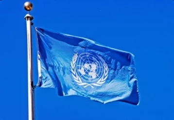 Фото: Россия наложила вето на резолюцию Совбеза ООН по химатаке в Сирии 1