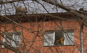 Бастрыкин потребовал разобраться с расселением жильцов аварийного дома в Кемерове