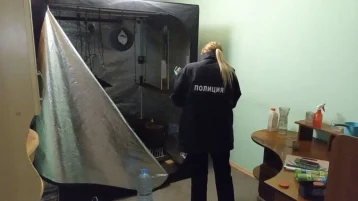 Фото: Житель Кемерова сделал из съёмной квартиры теплицу с коноплёй  1