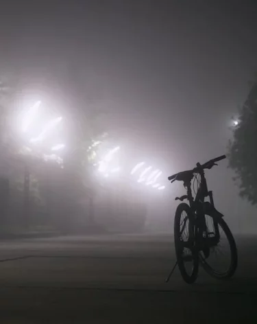 Велосипедиста Сехили, виновного в незаконном пересечении границы РФ, освободили в зале суда