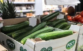 Кемеровостат: в Кузбассе за неделю огурцы подешевели на 8%