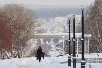 Фото: Глава Кемерова показал, как убирают дороги после снегопада 1