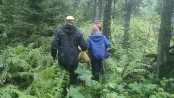 Фото: В Кузбассе мужчина и женщина ушли в лес и потерялись: их нашли спасатели 1