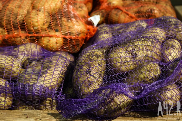 Кемеровчан предупредили о новой схеме мошенничества с овощными наборами