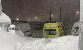 На Камчатке медики скорой помощи более 1 км несли пациента при штормовом ветре и метели