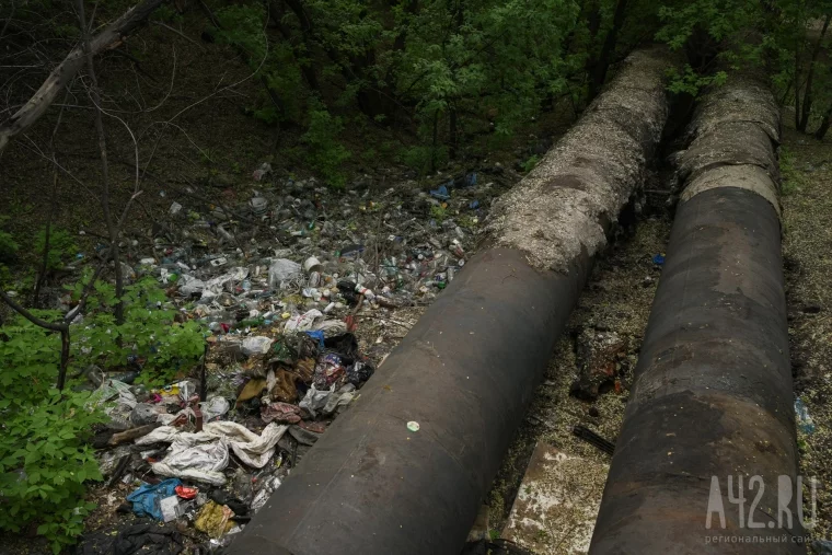 Фото: Звери, бездомные, водопады мусора и озёра нечистот: экспедиция по джунглям Искитимки 36