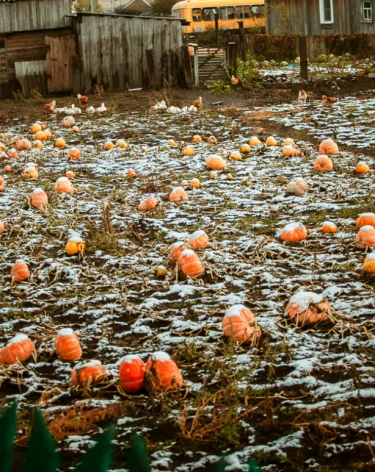 Параскева пятница: приметы на таинственный праздник 27 октября