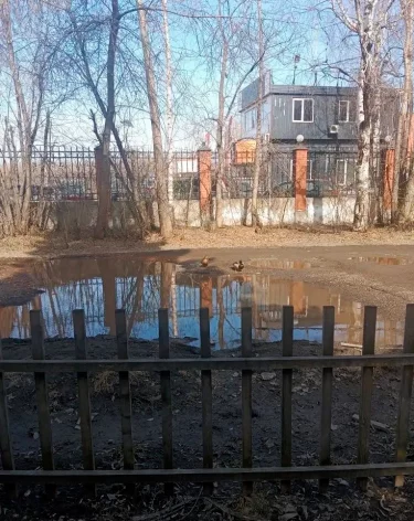 Фото, видео: <a href=https://vk.com/wall-200752967_9161>минлескомплекса и охотхозяйства Кузбасса</a> / «ВКонтакте»