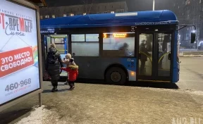 Власти Новокузнецка высказались против карманов на остановках общественного транспорта