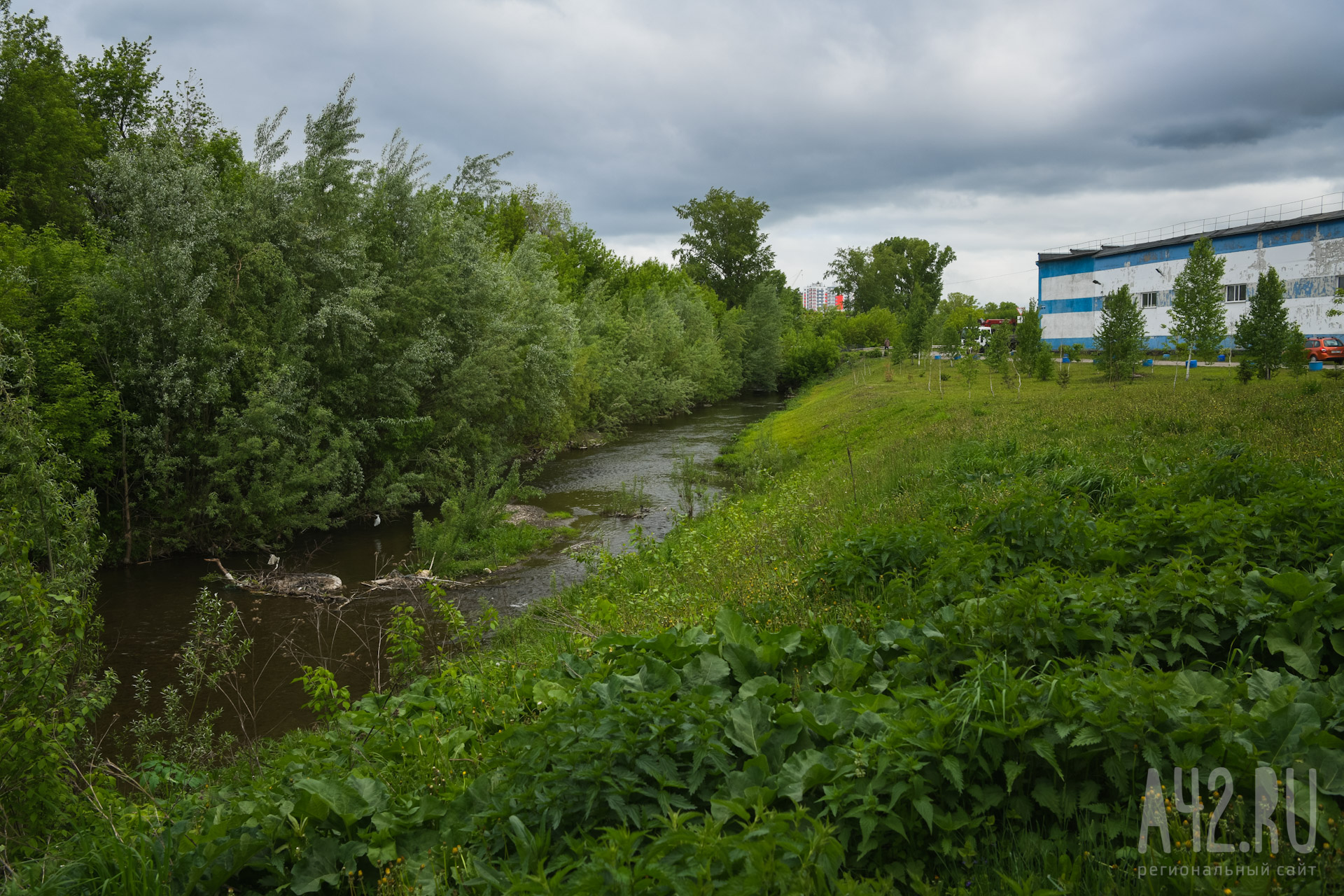 Звери, бездомные, водопады мусора и озёра нечистот: экспедиция по джунглям  Искитимки