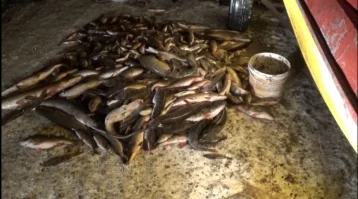 Фото: В Кузбассе задержали трёх рыбаков за незаконную ловлю рыбы 1