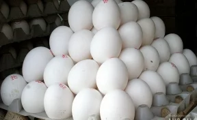 Врач перечислила продукты с высоким содержанием витамина D