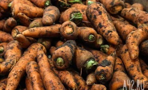 В Кузбасс завезли более 300 тонн моркови, лука и арбузов без сертификатов