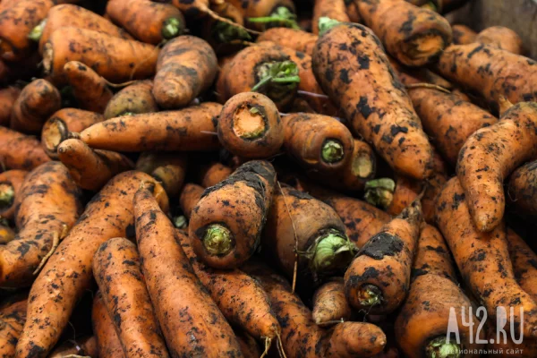 В Кузбасс завезли более 300 тонн моркови, лука и арбузов без сертификатов