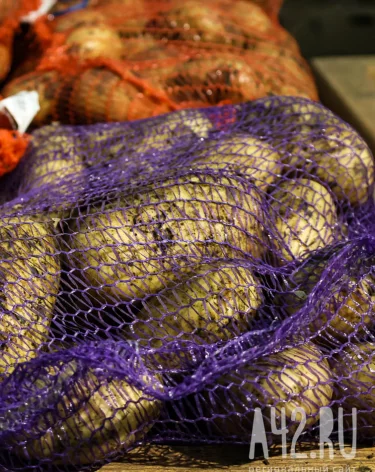 Кемеровчан предупредили о новой схеме мошенничества с овощными наборами