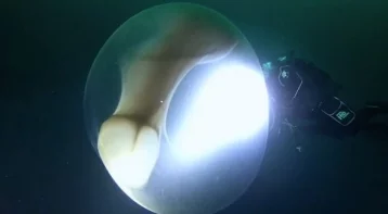 Фото: Учёным удалось снять на видео редкое явление в океане  1