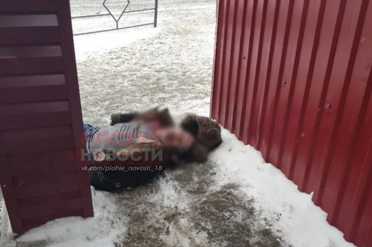 Фото: В Сети появились новые фото с места убийства на кузбасском автовокзале 2