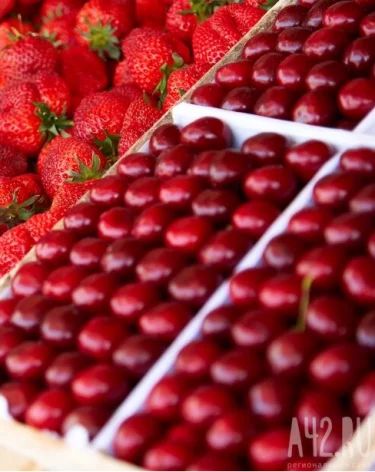 В Кузбасс с нарушениями ввезли 23 тонны ягод из Киргизии