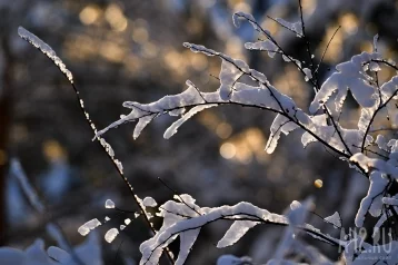 Фото: В понедельник кузбассовцев ожидают снег и ночные морозы до -24  1
