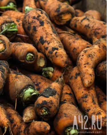 В Кузбасс завезли более 300 тонн моркови, лука и арбузов без сертификатов