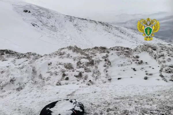 Дети погибли под завалом снега при катании на тюбингах в Свердловской области