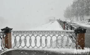 Власти Кемерова рассказали, когда начнут собирать предложения по ремонту старой набережной Томи