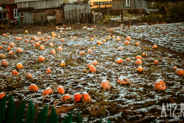 Параскева пятница: приметы на таинственный праздник 27 октября