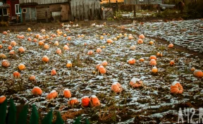 Параскева пятница: приметы на таинственный праздник 27 октября