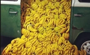 В Баварии среди бананов в супермаркетах нашли множество свёртков с наркотиками