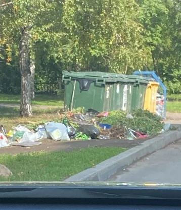 Фото: Мэр кузбасского города возмутился из-за свалки мусора возле контейнерной площадки 1
