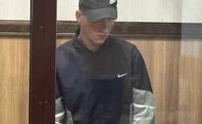 В Новосибирске создателя «группы смерти» в соцсетях приговорили к 9 годам колонии