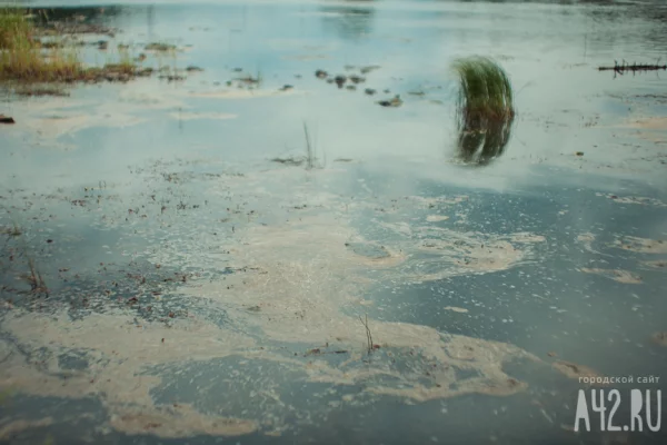 В Бразилии во время наводнения на улицы города Уба вынесло гробы