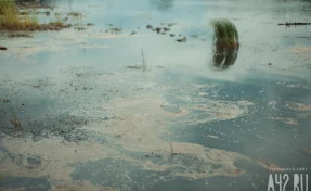 В Бразилии во время наводнения на улицы города Уба вынесло гробы