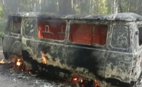 Пламя охватило автомобиль в лесу под Кемеровом